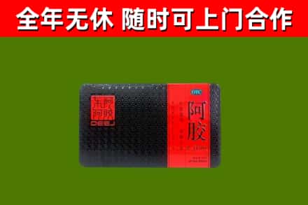 泗洪县回收阿胶